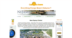 Desktop Screenshot of orange-beach-alabama.net